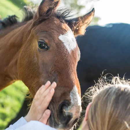 Marquardt Terrassenstuebchen Apartament Wenkendorf