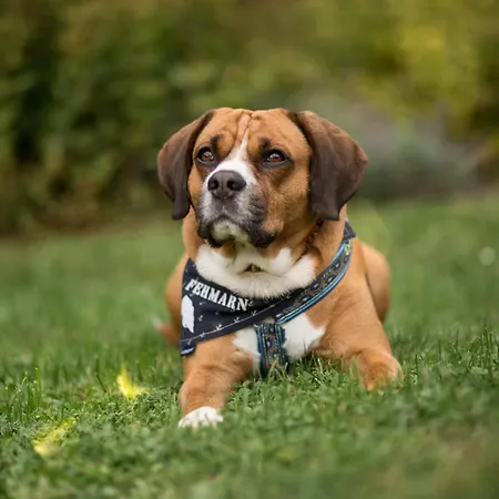 Marquardt Terrassenstuebchen Apartament Wenkendorf