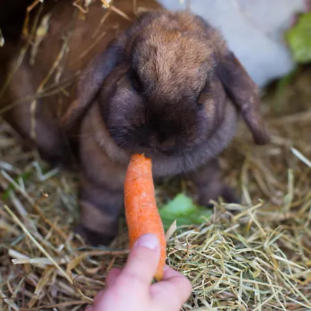 Marquardt Terrassenstuebchen * Wenkendorf