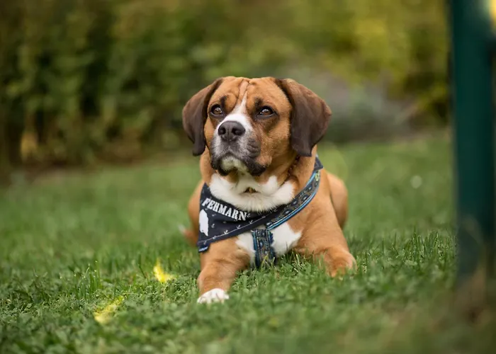 Marquardt Terrassenstuebchen Apartament Wenkendorf